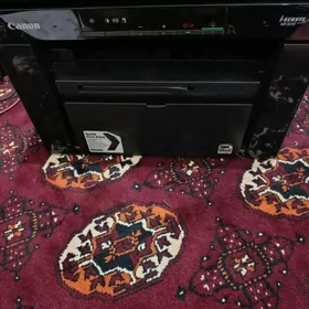 Canon 3010