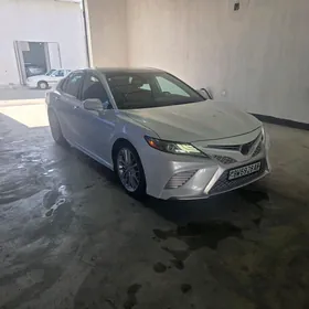 Toyota Camry 2019