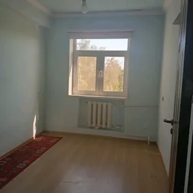 Arenda Buzmeyin tamatnyy