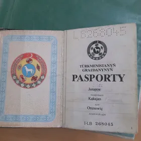 Pasport yiten