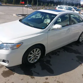 Toyota Camry 2010