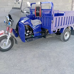 Fekon FK200-14G 2024