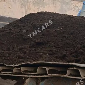 DERS ARSA DERS HALTALY  MASYNL