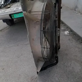 cat pagruşyk 962