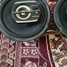pioneer nikel