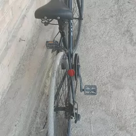 sport welisopid