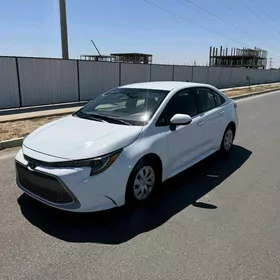 Toyota Corolla 2021