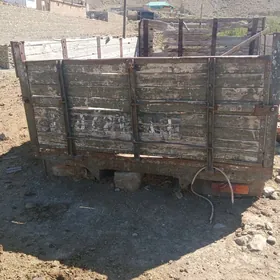 kuzwa