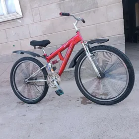 Tigir 26-lyk