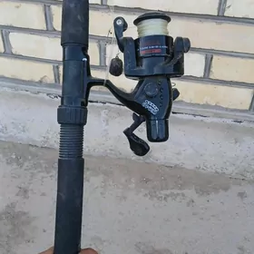 çeňňek