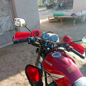 Fekon FK150-8G 2025