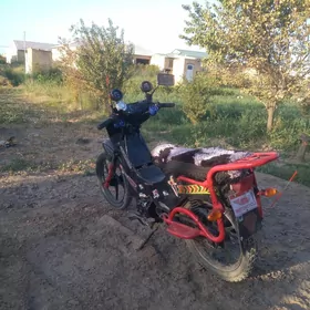Fekon FK150-8G 2016