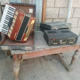 saz guraly