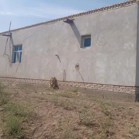 Сатлык жай