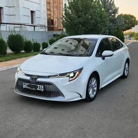 Toyota Corolla 2020