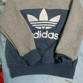 Switrlar