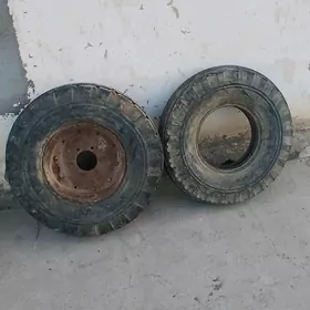 taleşga