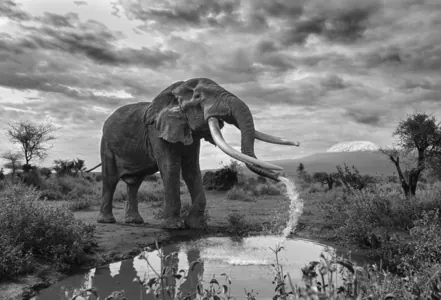 Названы победители конкурса монохромной фотографии Black and White Photo Awards 2025