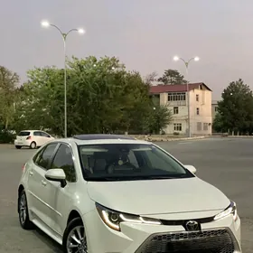Toyota Corolla 2020