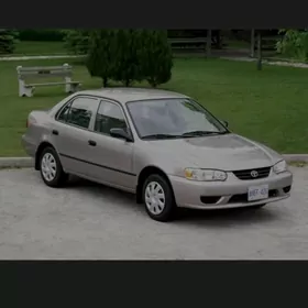 CAROLLA KOWRIK