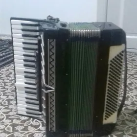 Аккардион