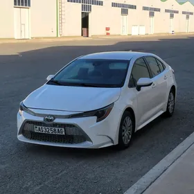 Toyota Corolla 2020