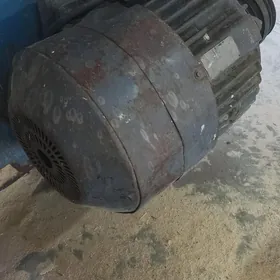 Elektro diwitel