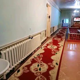 halı