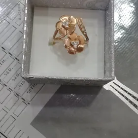 Золотое кольцо