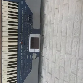 korg pa 800