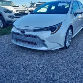 Toyota Corolla 2020