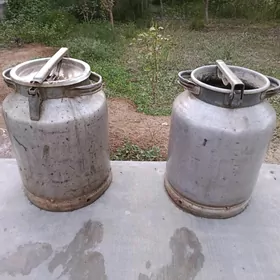 Suw pilak