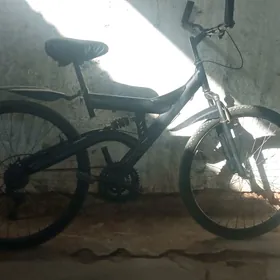 26lyk amsattrly tigir