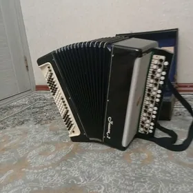 akardyon deprek