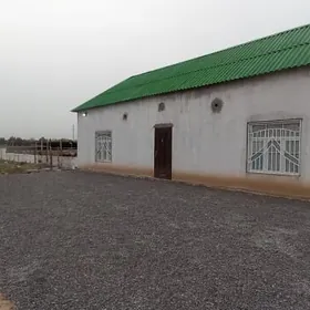 Gypjak jay