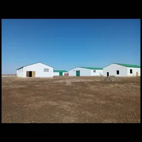Ferma