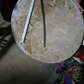 Antena kici