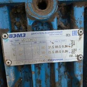 elektro dwigatel