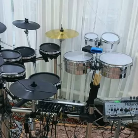 baraban udarnik alesis dm10