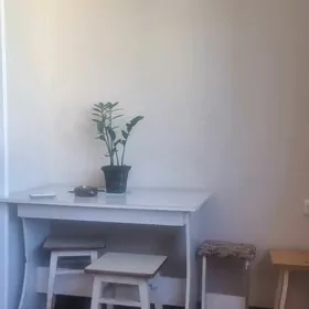 стол и стулья