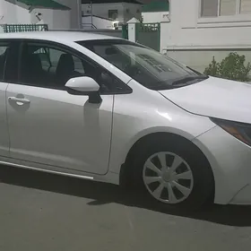 Toyota Corolla 2019