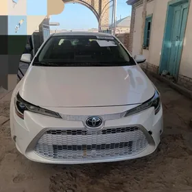 Toyota Corolla 2020