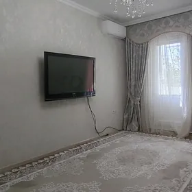 Arenda jay Mir 7