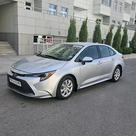 Toyota Corolla 2020