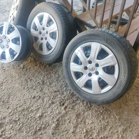 diska gara