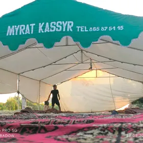 Toý palatka