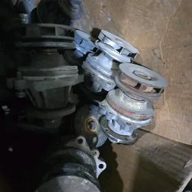 pompa gosha ve bir vanus