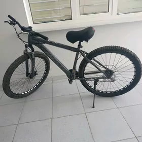 welisopet