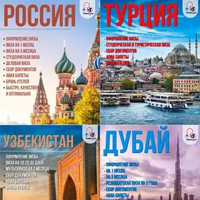 Wiza hyzmatlary