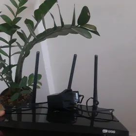 wifi tp link